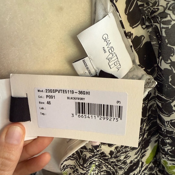 Giambattista Valli Plunging Floral Mini Chiffon Dress Size 46/US 10 NWT $3,350 - Picture 11 of 13